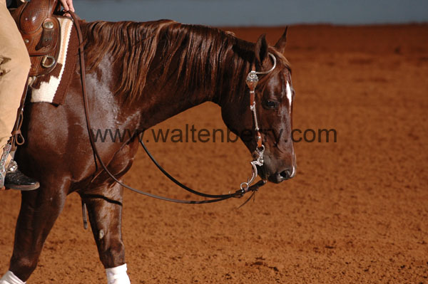 1079 NR08p21.1 - 083