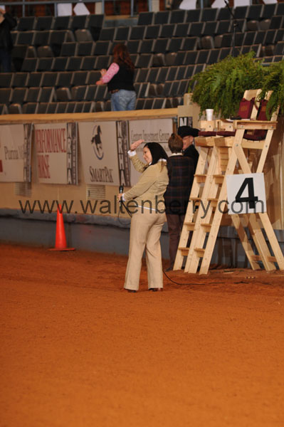 singer NR08p3F.2- 001