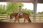 0586 PV08p1- 007