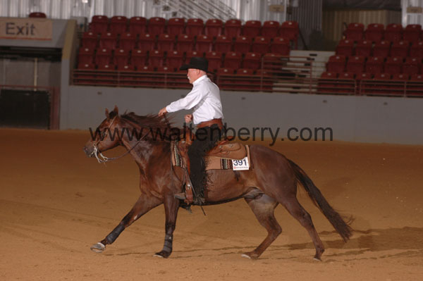 391 SN09p14A.2 - 081