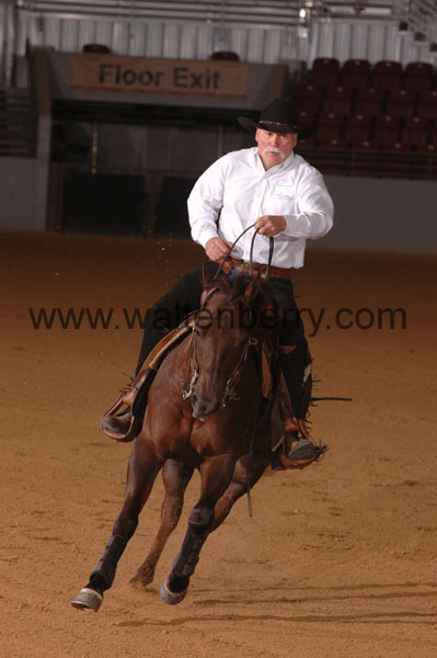 391 SN09p14A.2 - 083