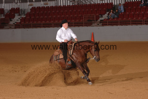 391 SN09p14A.2 - 085