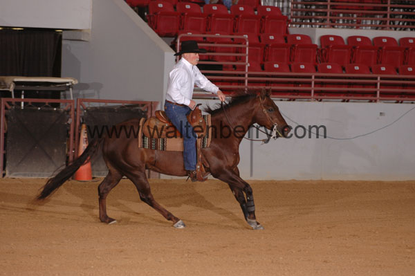 391 SN09p29A.1 - 056