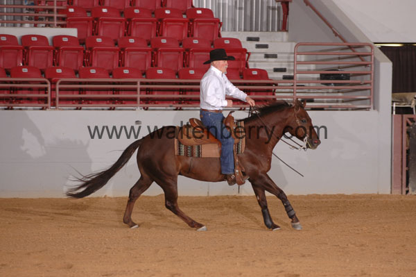 391 SN09p29A.1 - 057