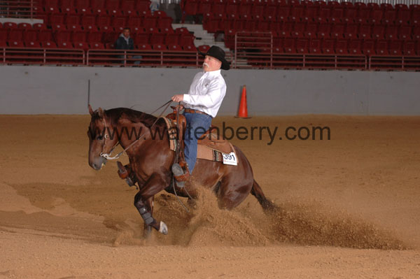 391 SN09p29A.1 - 059