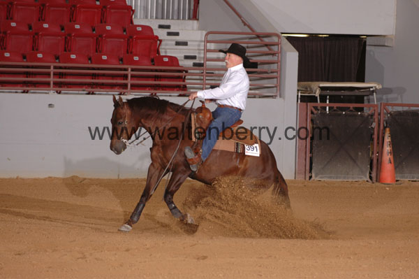 391 SN09p29A.1 - 060