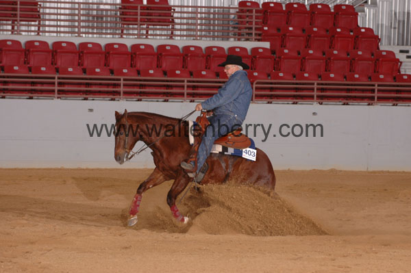 403 SN09p29A.2 - 072