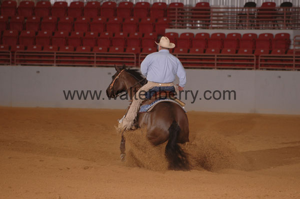 443 SN09p14A.2 - 031