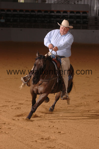 443 SN09p14A.2 - 035