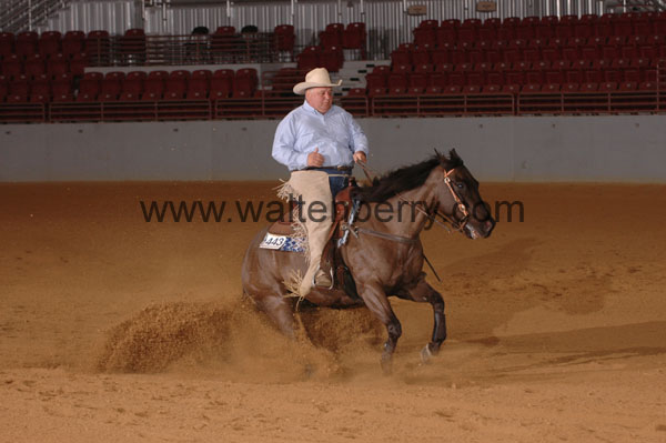 443 SN09p14A.2 - 037