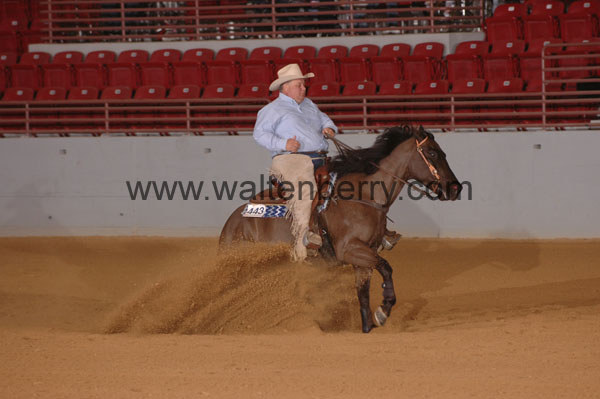 443 SN09p14A.2 - 038