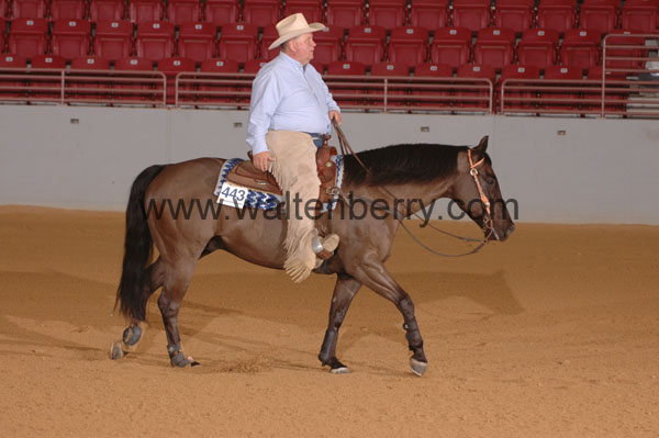 443 SN09p14A.2 - 039