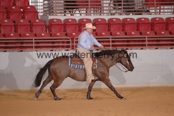 443 SN09p14B.1 - 042