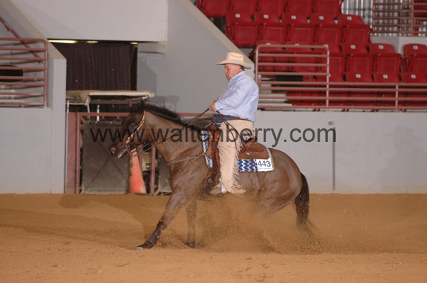 443 SN09p14B.1 - 043