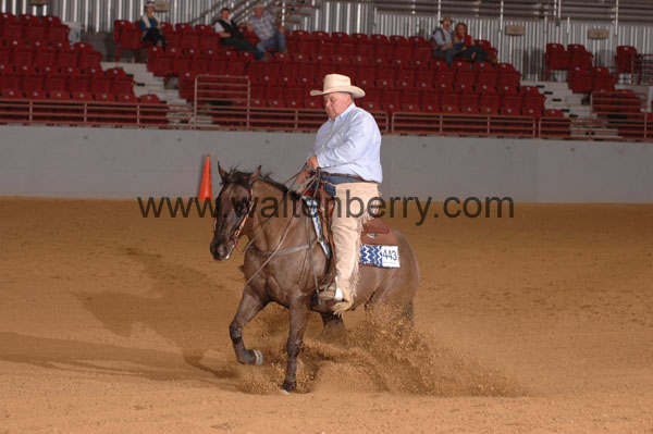 443 SN09p14B.1 - 044