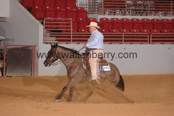 443 SN09p14B.1 - 045