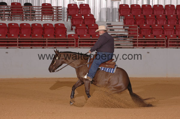 443 SN09p29A.2 - 037