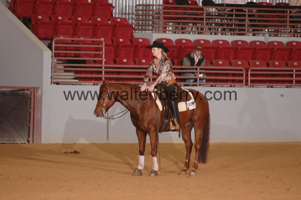 492 SN09p14B.1 - 081