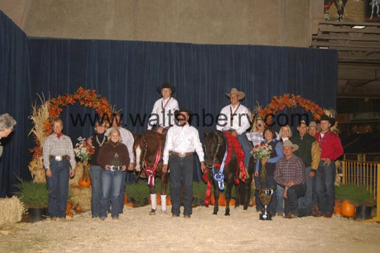 034-035 WI06p26- 255