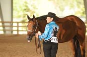 1172 WA08p1- 101