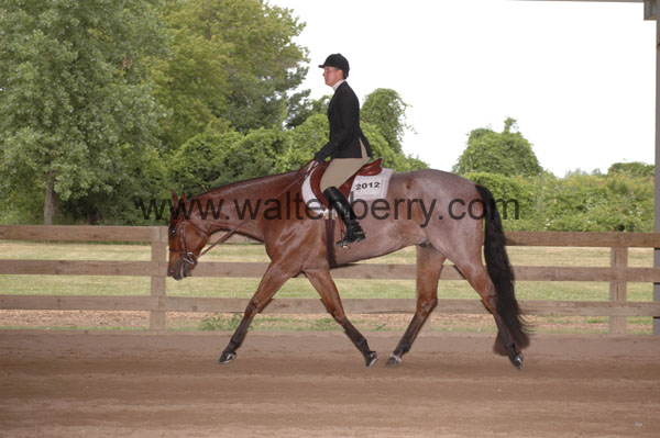 2012 WA08p8- 058