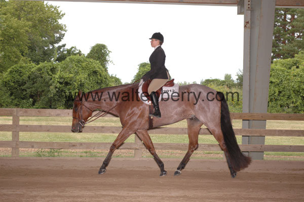 2012 WA08p8- 093
