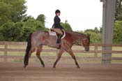 2012 WA08p8- 099