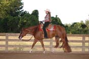 372 WQ08p26- 041